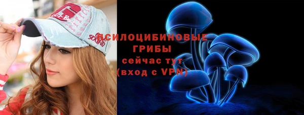 шишки Бугульма