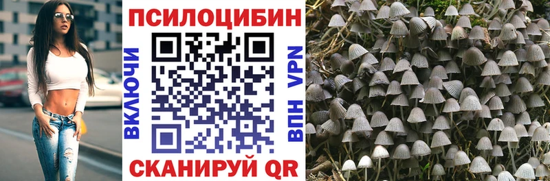 Псилоцибиновые грибы Cubensis  Елизово 